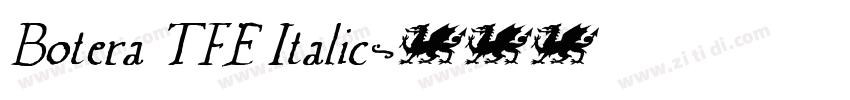 Botera TFE Italic字体转换
